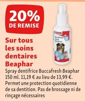Maxi Zoo Beaphar bon plan sur tous les soins dentaires beaphar offre