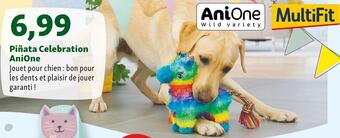Maxi Zoo Anione piñata celebration offre