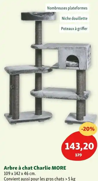 Maxi Zoo Arbre à chat charlie more offre