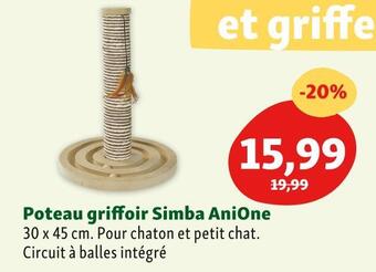Maxi Zoo Anione poteau griffoir simba offre