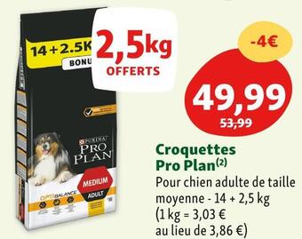 Maxi Zoo Purina croquettes pro plan offre