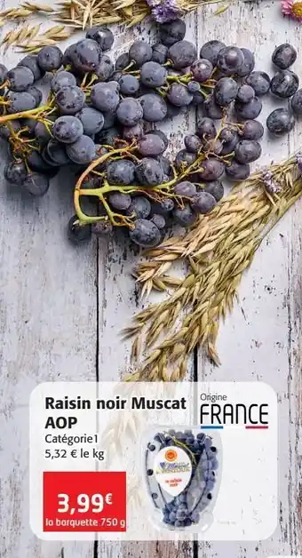 Colruyt Raisin noir muscat aop offre