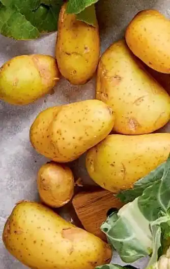 Colruyt Pommes de terre de consommation à chair ferme variété annabelle offre