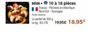 Thiriet Pêchées En Atlantique Nord-Est-Sauvages offre