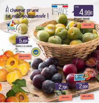 Match Mirabelle de lorraine, prune bleue allongée, prune rouge, prune reine claude offre