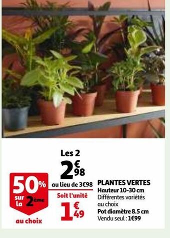 Auchan Plantes vertes offre