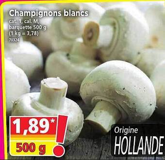 Norma Champignons blancs offre
