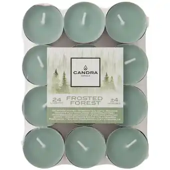 Action Bougies chauffe-plats parfumées candra frosted forest offre