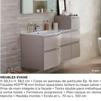 Lapeyre Bon plan sur les meubles evane offre
