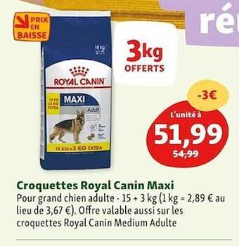 Maxi Zoo Croquettes royal canin maxi offre