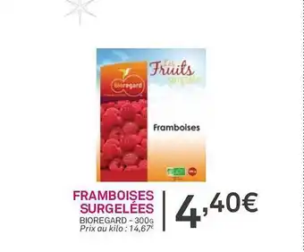Framboises surgelées bioregard