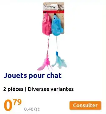 Jouets pour chat
