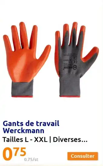 Action Gants de travail werckmann offre