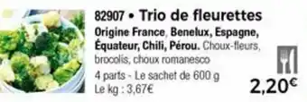 Thiriet Trio de fleurettes offre