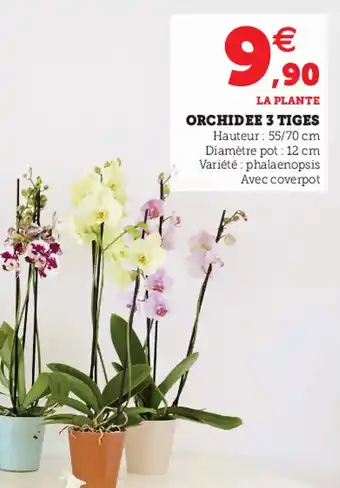 Super U Orchidee 3 tiges offre