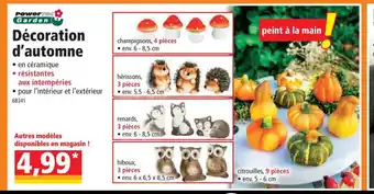 Norma Décoration d'Automne offre