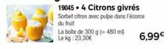 Thiriet 4 Citrons Givrés offre