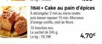 Thiriet Cake Au Pain D' épices offre