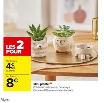 Carrefour Market Mini Plante offre