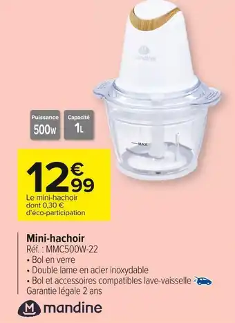 Carrefour Market Mandine mini-hachoir offre