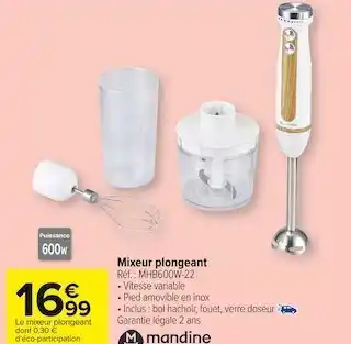 Carrefour Market Mandine mixeur plongeant offre