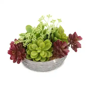 Truffaut Plante artificielle succulente 13 cm plastique recyclable + pot offre