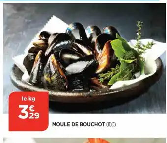 Moule de Bouchot