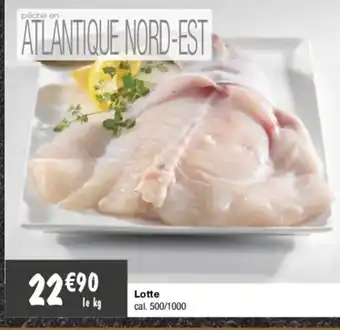 Migros Lotte offre