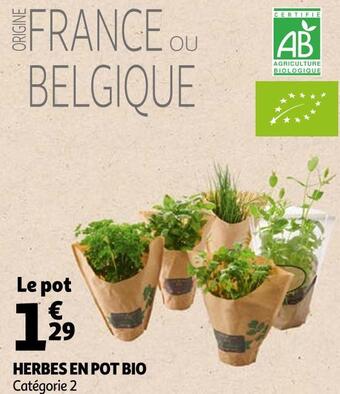 Auchan Herbes en pot bio offre