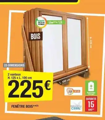Brico Dépôt Fenêtre bois cekal offre