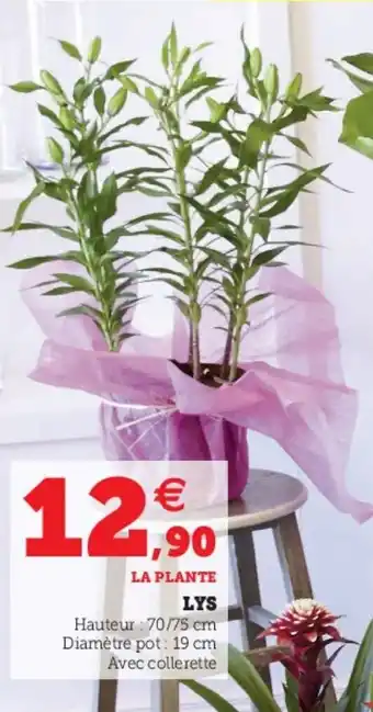 Super U Lys offre