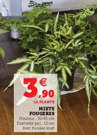 Super U Mixte fougeres offre