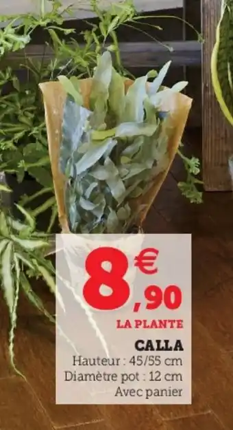 Super U Calla offre