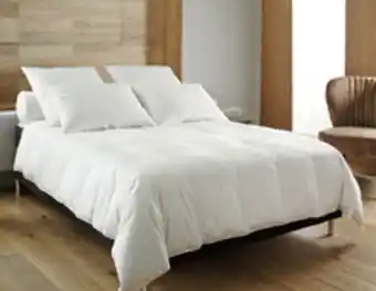 Chateau neutre 10% duvet - 90% plumettes canard