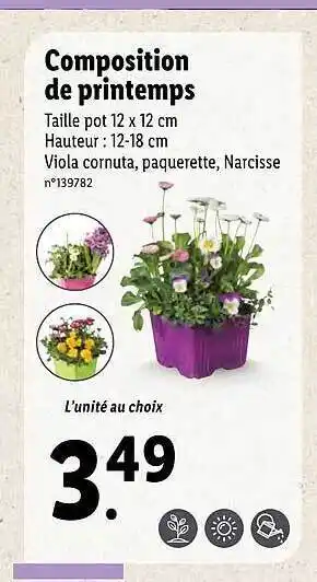 Lidl Composition De Printemps offre