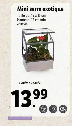 Lidl Mini Serre Exotique offre