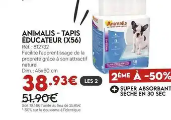 Animalis Animalis - Tapis éducateur offre