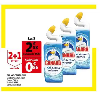 Auchan Gel Wc Canard offre