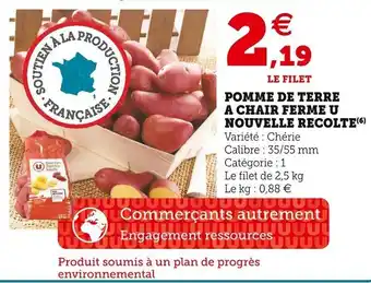 Pomme de terre a chair ferme u nouvelle recolte