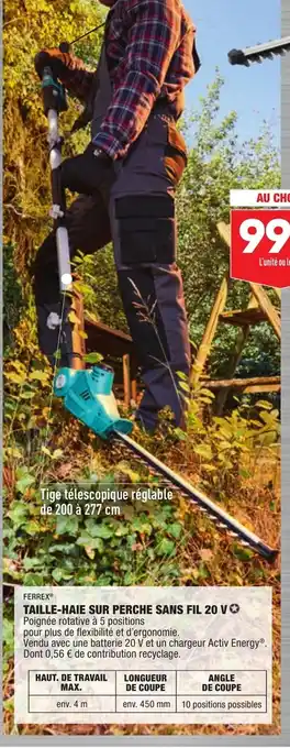 Ferrex Taille-Haie Sur Perche Sans Fil 20v