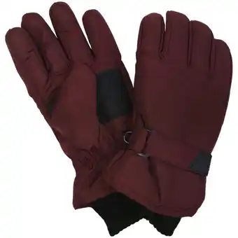 Gants de ski thermolate