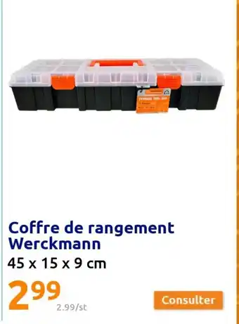 Action Coffre de Rangement Werckmann offre