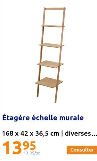 Action Étagère échelle Murale offre