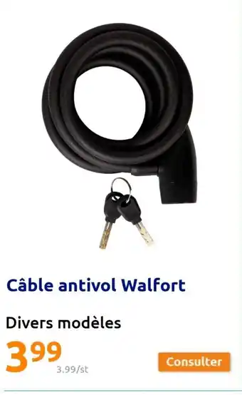 Action Câble Antivol Walfort offre