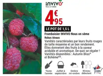 Gamm vert Invivo framboisier nous on sème rubus ideaus offre