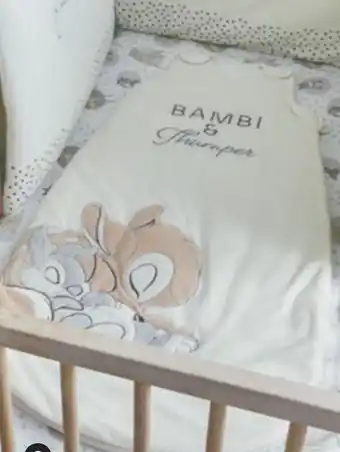 Carrefour Disney baby gigoteuse réglable 6/36 mois offre