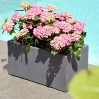 Gamm vert Bac à fleurs en fibre de terre gris l60 h30 cm offre