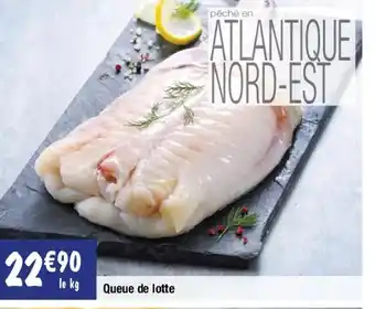Migros Queue de lotte offre