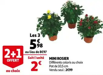 Mini rosier