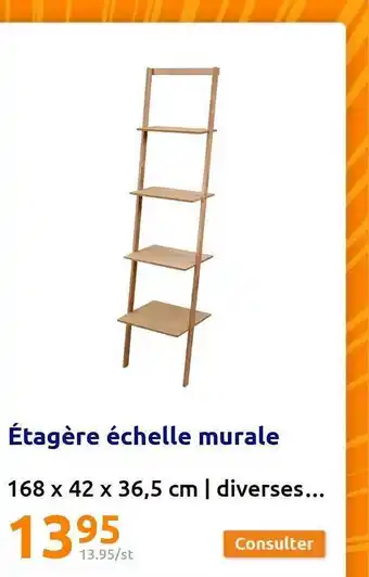 Action Étagère échelle murale offre